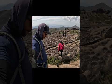 Pedra do Sino de Itatiaia + Agulhas Negras - PNI Parte 1