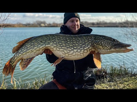 The Monster Pike before Christmas - Giant Pike