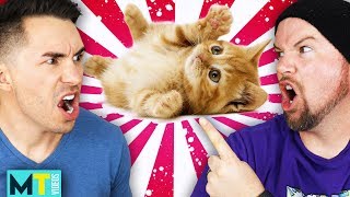 Try To Guess The Ending (GAME) - Cat & Kitten Edition