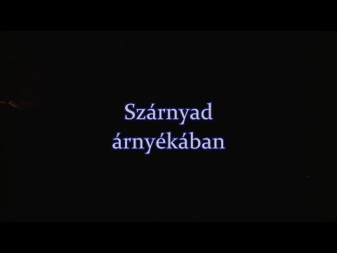 Szárnyad árnyékában