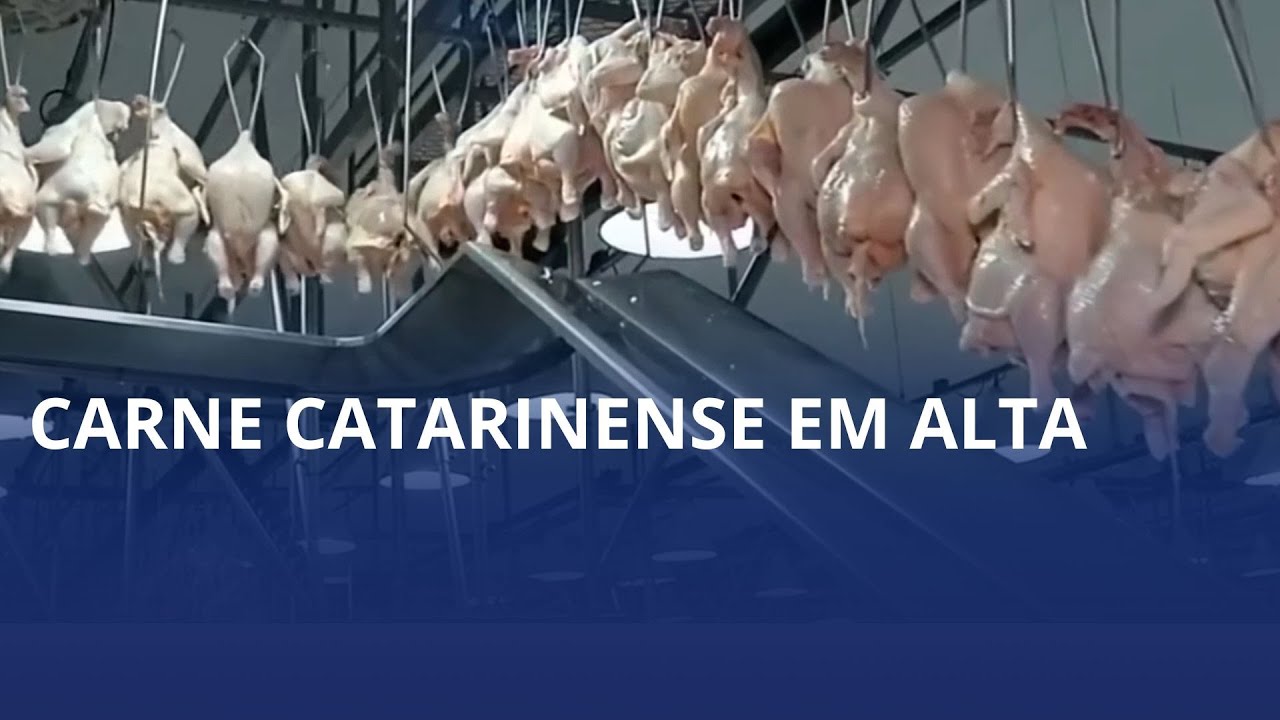 Exportações da carne catarinense batem recorde e somam US$ 3,7 bilhões até outubro