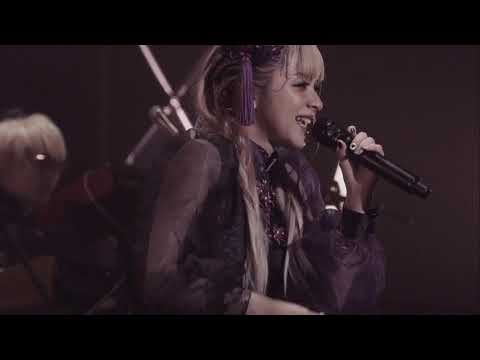 GARNiDELiA-MIRAI (LIVE)