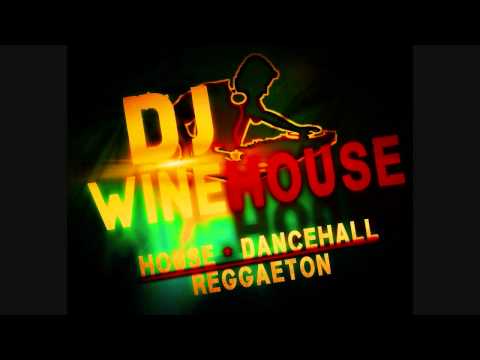 LMFAO vs Willy William & Audiobot - Party Rock Anthem (DJ Winehouse Mashup Remix)