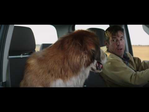MES VIES DE CHIENS - Extrait - "Deux vieux copains" - VF