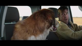 MES VIES DE CHIENS - Extrait - "Deux vieux copains" - VF