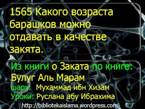 1565 Какого возраста барашков можно отдавать в качестве закята