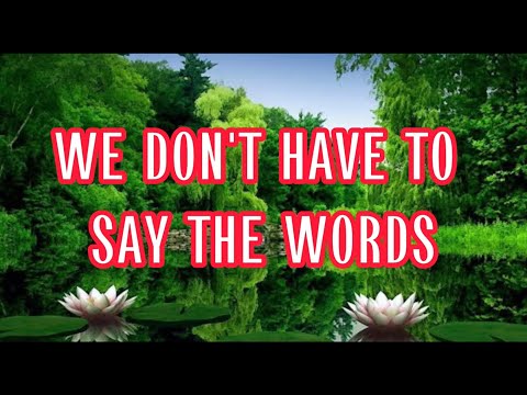 WE DON'T HAVE TO SAY THE WORDS - GERARD JOLING LYRICS VIDEO