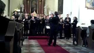 preview picture of video 'Viadana kamarakórus: Bruckner - Christus factus est'
