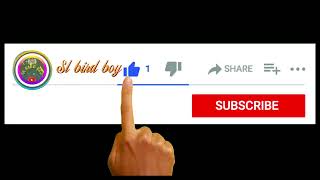 Download lagu 8DA8EA7C 6B85 4cbd 843E 51C133E30C16 video mp3