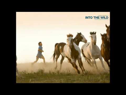 Jerry Hannan - Society [Into The Wild Soundtrack][HQ]