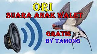Download lagu ORI SUARA ANAK WALET mp3 Download lagu ORI SUARA ANAK WALET mp3