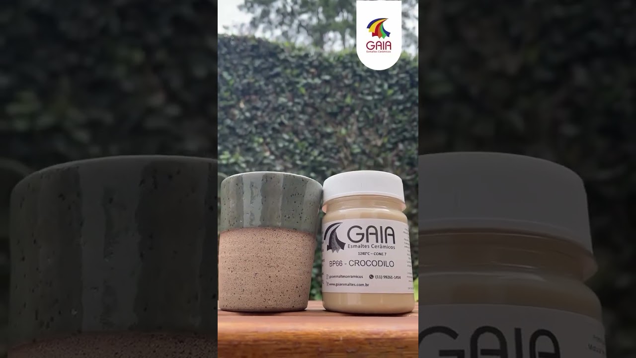 Vídeo de B 66 - CROCODILO