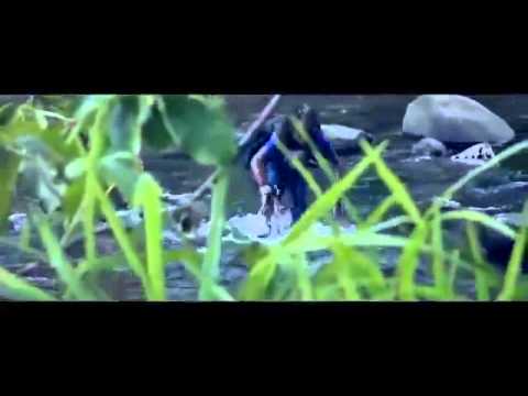 Admiral t zombie complet