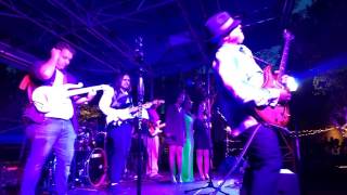 Mike Scott - Insane Purple Guitar Solo (Prince Tribute)