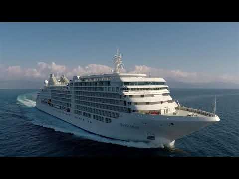 Silver Muse  Expect the Unexpected