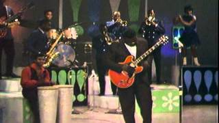 Freddy King !!!! Beat,  Shows 1966