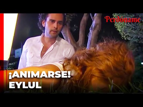 Tunç abofetea Eylül - Perdóname