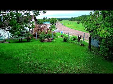 keystoneslookingfordillon