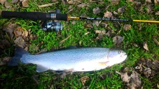 Crazy fish ebisu sg602sul nano jig 0 6-3.