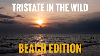 Check out this View! - Good Morning Tristate LIVE (From the Beach)