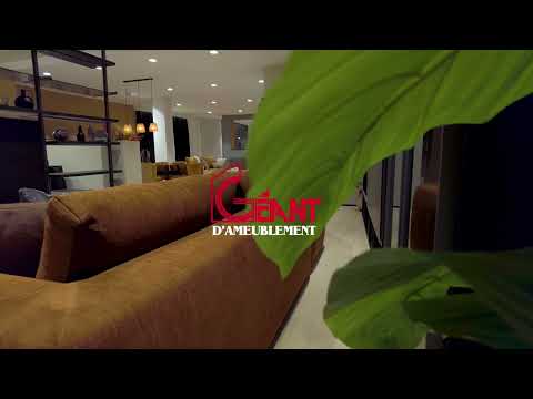 GEANT D'AMEUBLEMENT Meubles 2024/01