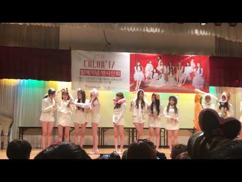 181103 iz*one 팬사인회 サイン会