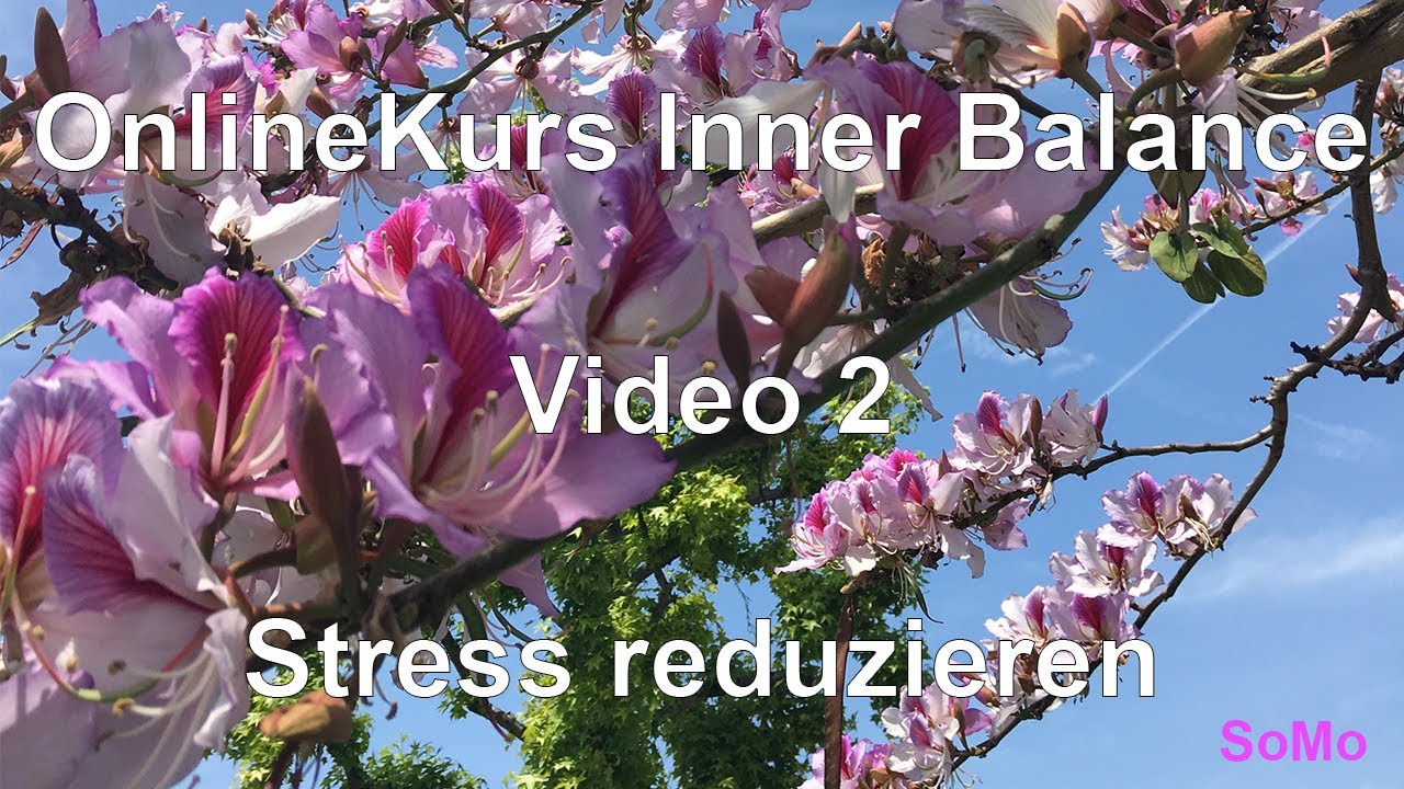 OnlineKurs Inner Balance | Video 2 | Stress reduzieren