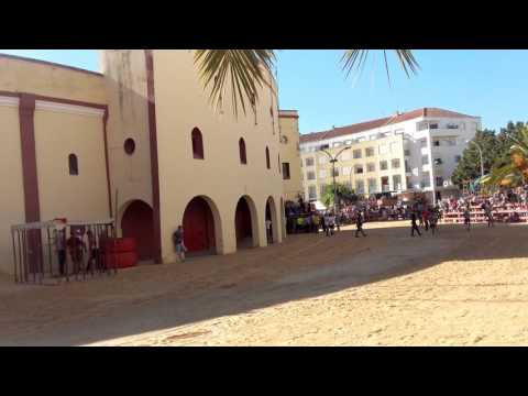 2 Entrada de touros na vila da moita