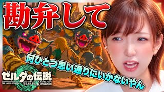 【限界】ボコブリンに囲まれ、祠もムズい、愛馬にも会えない…今日のハイラル厳しすぎる！【ゼルダの伝説 ティアキン】＃８