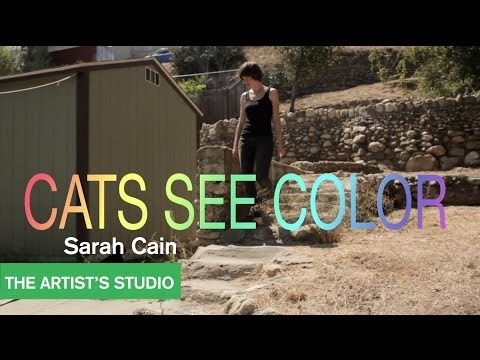 download lagu mp3 mp4 Sarah Cain, download lagu Sarah Cain gratis, unduh video klip Sarah Cain