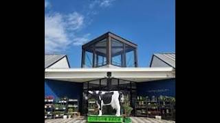 【大多喜町・たけゆらの里～JR外房線・茂原駅】〔車載動画〕※2026年04月12日（日）