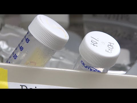 UNLV researchers tracking flu season through waste water