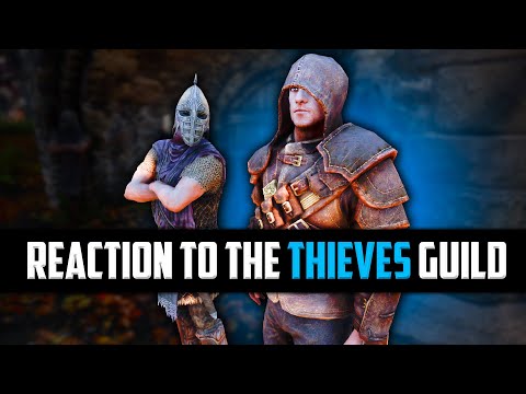 Skyrim ٠ Guards Reaction to the Thieves Guild