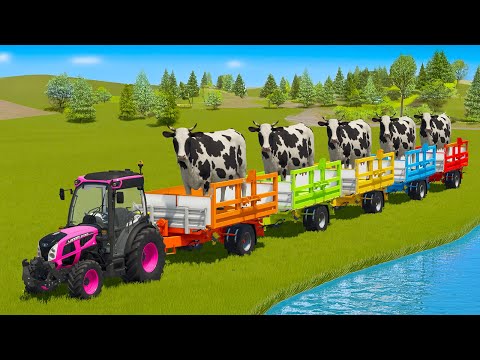 LOADING AND TRANSPORTING COWS WITH LANDINI MINI TRACTORS - Farming Simulator 25