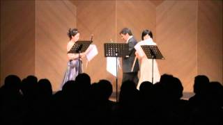 Kaspar Kummer Trio,Op.24
