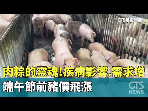 肉粽的靈魂！疾病影響.需求增　端午節前豬價飛漲