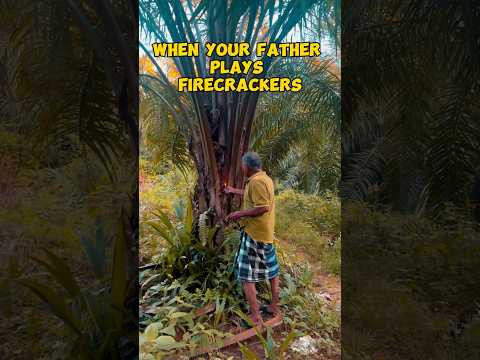 when your father plays firecrackers| firecrackers sound test |slow motion firecrackers #firecracker