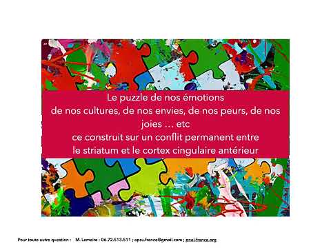 PNEI expliquée simplement !