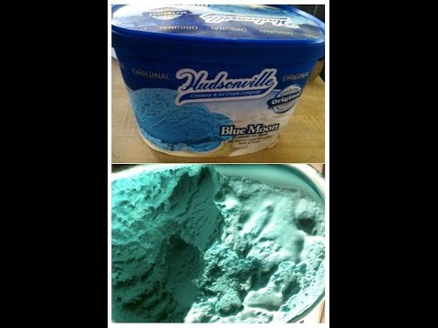 Hudsonville Blue Moon Ice Cream Review! YUM