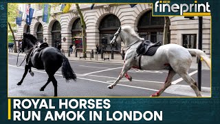 UK: Royal Cavalry Horses run amok in central London | WION Fineprint