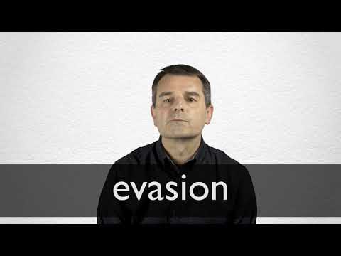 EVASION definition in American English