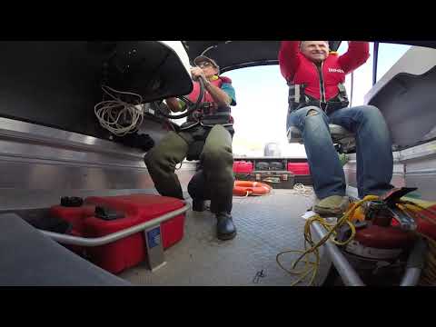 Springfield Marine company in action