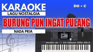 Download lagu Karaoke - Burung Pun Ingat Pulang // Nia Daniaty ( Nada Pria ) mp3