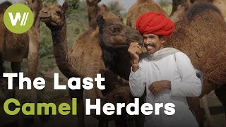 Life of Rajasthan's Last Camel Herders - "Camels are our Children!" | Guardians of the Earth (4/5)