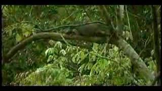 This is My Father&#39;s World