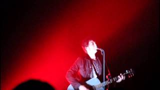 Le Luci della Centrale Elettrica - Lacrimogeni (live)