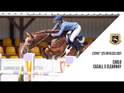 CSIYH1* 125 cm Olsza 2021: Carlo (Casall x Clearway) 2015