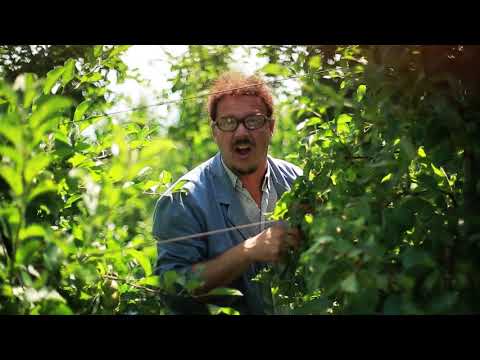 Apfel Comedy Episode 6 - Neues aus Feld und Hof - Hochkofler