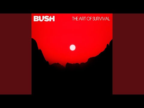 Download Bush - More Than Machines MP3