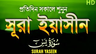 🌙 Surah Yaseen – Qur’an Ka Dil 💖 (Full Tilawat with Urdu Translation)